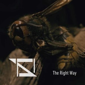 SHAGREEN – Kolejny singiel zapowiada wydanie trzeciego album artystki ‘The Right Way’