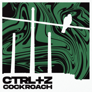 CTRL+Z  pierwszy singiel psychodeliczno – stonerowego kwartetu z Łodzi  ‘COCKROACH’